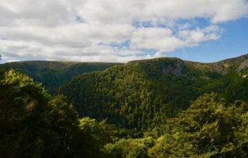 Proposition de loi visant à créer un label national « Marque de territoire »